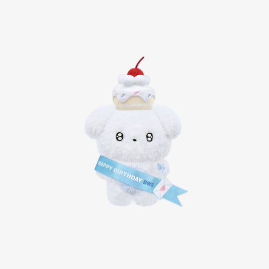 BYEON WOO SEOK - BIRTHDAY OFFICIAL MERCH HBD BWS! PROP SET