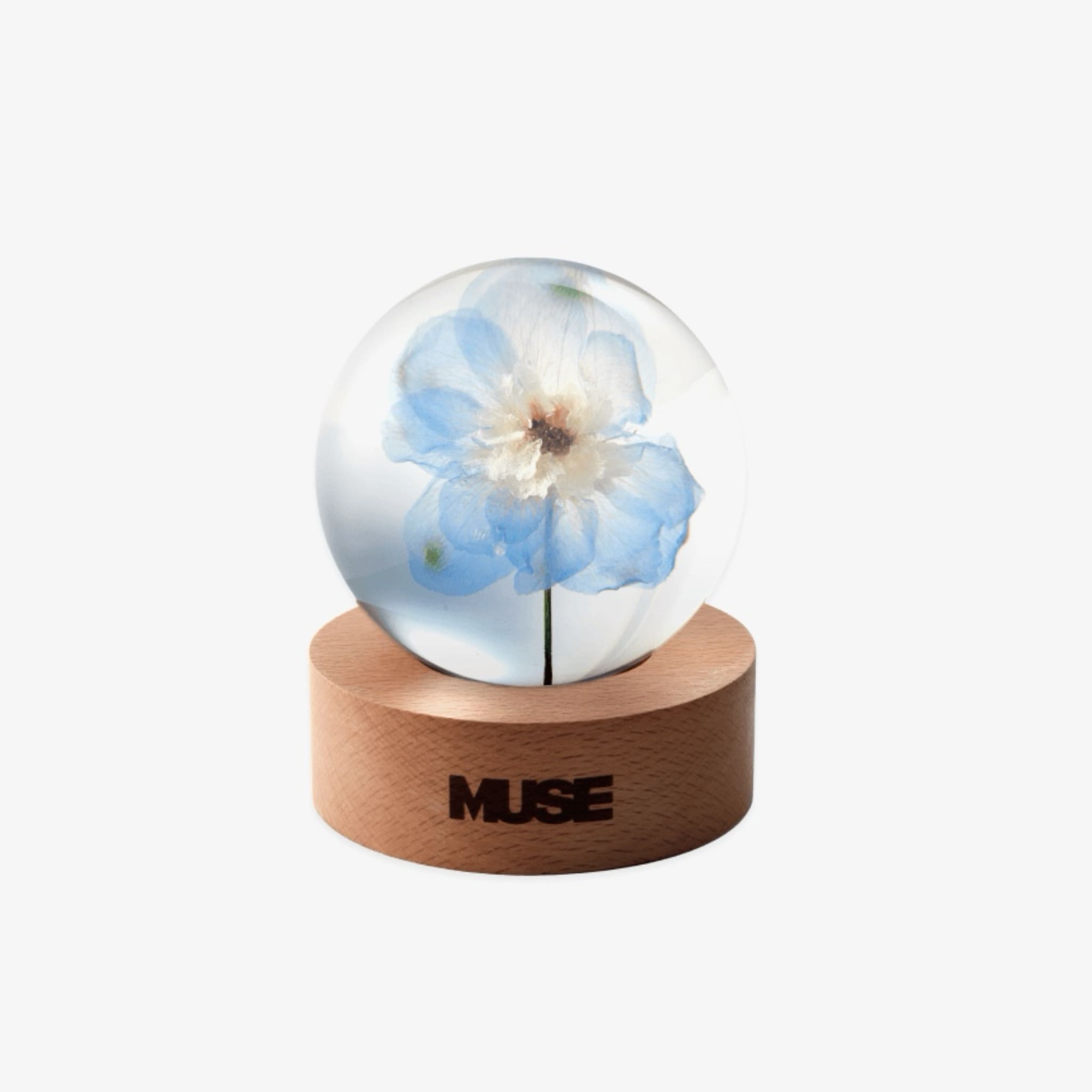 BTS JIMIN - MUSE OFFICIAL MERCH PAPER WEIGHT – Saekdongbyeol